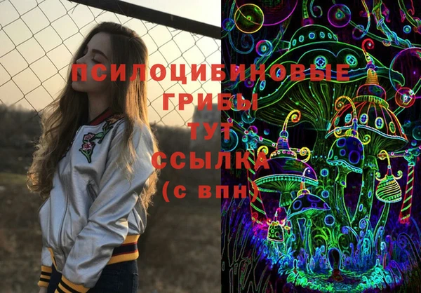 мескалин Алексин