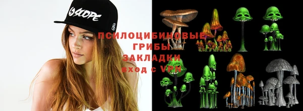 мескалин Алексин