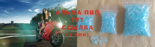гидра Алексеевка