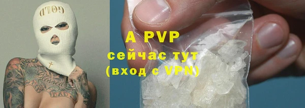 гидра Алексеевка