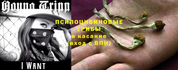 гидра Алексеевка