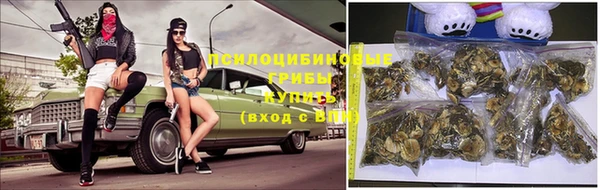 МДПВ Алзамай