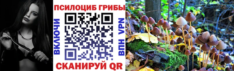ОМГ ОМГ сайт  Безенчук  Псилоцибиновые грибы Psilocybe  закладка 